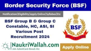 BSF Group B & Group C Constable, HC, ASI, SI Various Post Recruitment 2024