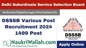 DSSSB Various Post Recruitment 2024 Apply Online for 1499 Post