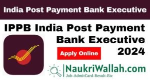 IPPB India Post Payment Bank Executive 2024