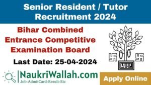 Bihar BCECEB Senior Resident/Tutor 2024 Apply Online